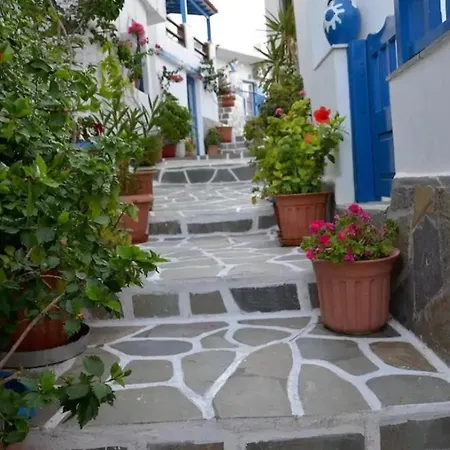 Sokaki House